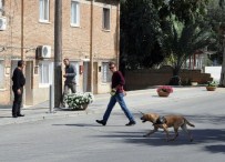 ŞÜPHELİ ÇANTA - KKTC'de Bomba Paniği