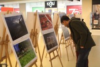 SOSYOLOG - Tarım Ve İnsan İsimli Fotoğraf Sergisi İlgi Görüyor