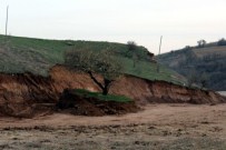BEŞPıNAR - İl Özel İdare Ekiplerinin Ağaç Hassasiyeti