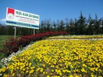 KÜÇÜKKÖY - İlkbaharın Müjdecisi Çiçekler Gaziosmanpaşa'yı Süslüyor