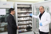 İBRAHIM ÇELIK - Kan Sürekli Bir İhtiyaçtır