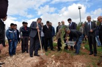 TıP BAYRAMı - Tıp Bayramını Fidan Dikerek Kutladılar