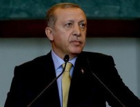 PSV EINDHOVEN - Cumhurbaşkanı Erdoğan'dan PSV taraftarına tepki