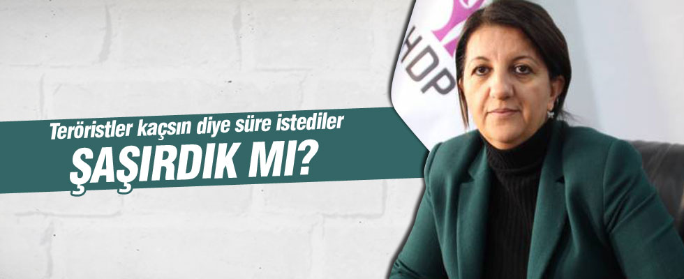 HDP'lilerin hain Yüksekova planı ortaya çıktı