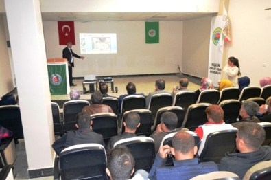 Hilvan'da İpek Böceği Yetiştiriciliğinde Büyük Adım