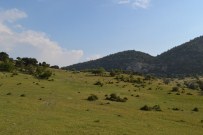 Kırkağaç'ta 15 Bin 500 Dekarlık Alana Tapulaştırma