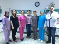 DEMİR EKSİKLİĞİ - Merkezefendi'nin Doktor Kadrosu Güçleniyor