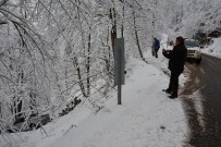 Ordu'da Trafik Kazası Açıklaması 1 Yaralı