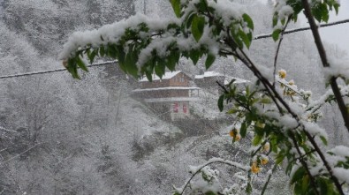 Rize'de Soğuk Hava Ve Kar Yağışı Yüksek Kesimlerde Etkili Oluyor