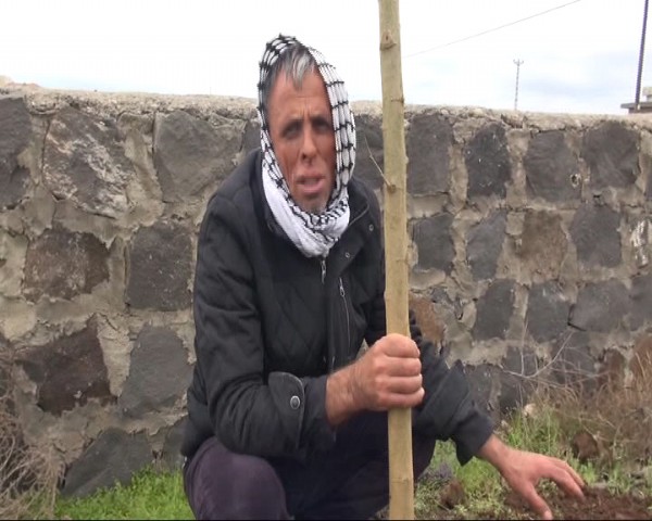 Bir ağaca karşılık 30 fidan