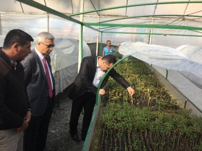 Alanya Belediyesi'nden 2. Bitki Serası