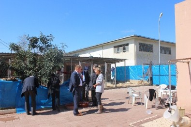 Hayvan Hakları Komisyonu Kozan'da