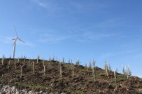 İZAYDAŞ'ta 5 Yılda 51 Bin Fidan Diktiler