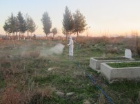 Kahramanmaraş'ta Mezarlıklara Özel Bakaım