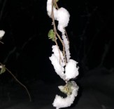 Korkulan Oldu Açıklaması Fındık Dondu