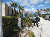 KIBRIS BARIŞ HAREKATI - Silifke Belediyesi Kıbrıs Şehitliğini Temizledi