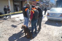 TAHİR ELÇİ - Tahir Elçi Cinayetinde Yeni Gelişme