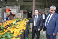Adana'dan Güvenlik Güçlerine 25 Ton Portakal