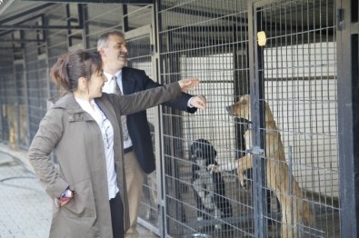 Odunpazarı'nın Kırsal Çalışmaları Türkiye'ye Örnek Oluyor