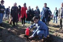 Şehitler Anısına Fidan Dikildi