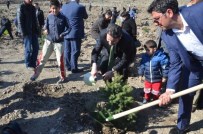 GAZIOSMANPAŞA ÜNIVERSITESI - Tokat'ta Şehitler Hatıra Ormanı