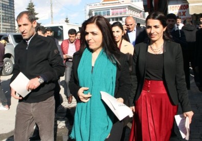 Van'da Nevruz İçin Bildiri Dağıtıldı