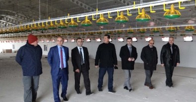 Düzce'de Hibe Yatırımları Meyvelerini Veriyor