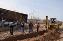 Gülşehir'de Ağaç Dikimi Ve Temizlik Çalışmaları Yapılıyor