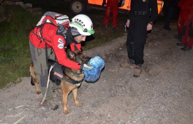 Alzheimer Hastası Yaşlı Adam Ormanda Kayboldu