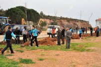 KÜÇÜKKÖY - Ayvalık Belediyesi'nin Diktiği Çınarlar Küçükköy'ün Geleceği Olacak