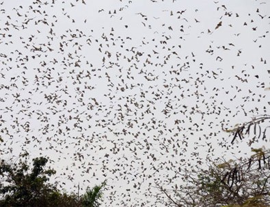 Cumhurbaşkanı Erdoğan'a karşılama töreninde dikkat çeken görüntü