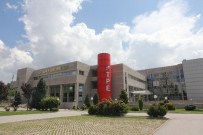 Erzurum 20 Yılda Bin 147 Marka Çıkardı