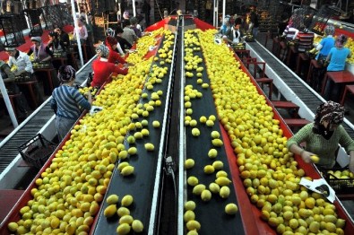 Gıda İhracatçıları Tanıtım Atağını Sürdürüyor