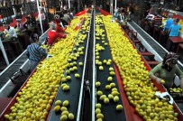 Gıda İhracatçıları Tanıtım Atağını Sürdürüyor