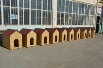 SOKAK KÖPEKLERİ - Hayvanseverlerden Sokak Köpekleri İçin 10 Adet Kulübe