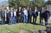 NIHAT ÖZTÜRK - Seydikemere İki Yeni Spor Alanı Kurulacak