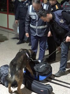 Terminalde Sorgulanan 25 Suriyeli Gaziantep'e Alınmadı