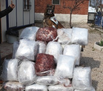 Polisi Karşısında Görünce Ayağını Kırdı