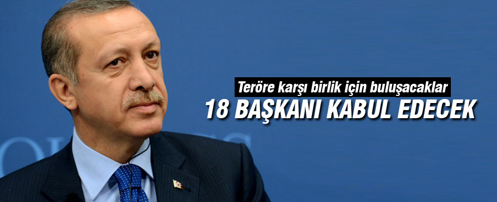 Tayyip Erdoğan, 18 başkan ile görüşecek