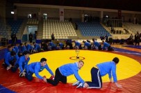 TEDAŞ - Tokat'ta, Türkiye Güreş Şampiyonası Sona Erdi