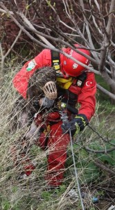 Uçurum Kenarına Düşen Köpeği AKUT Kurtardı