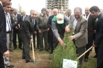 ORMAN ALANI - Adana'da Her Yıl 3.5 Milyon Fidan Toprakla Buluşuyor