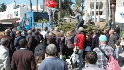 Bir Kamyon Dolusu Fidan Yarım Saatte Bitti