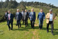 KENT ORMANI - Bursa'da Dört Mevsim Kayak Keyfi