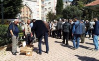 EMEKLİ VATANDAŞ - Cami Bahçesinde Toplanan Yardımlar Bu Kez 'Fındık' İçin