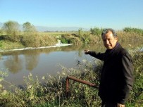 AĞIR METAL - Dr. Aydın; 'Aydın'da Su Varlıklarımız Tehlike Altında'