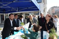 KIRAÇ - İzmit Belediyesi 20 Bin Fidan Dağıtacak