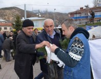 Koyulhisar'da 3 Bin Fidan Dağıtıldı