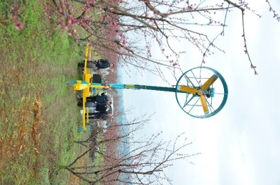 Meyve Ağaçarı Artık Donmayacak