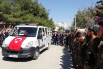 MEHMET ÖZEL - Nusaybin Şehidi Törenle Uğurlandı